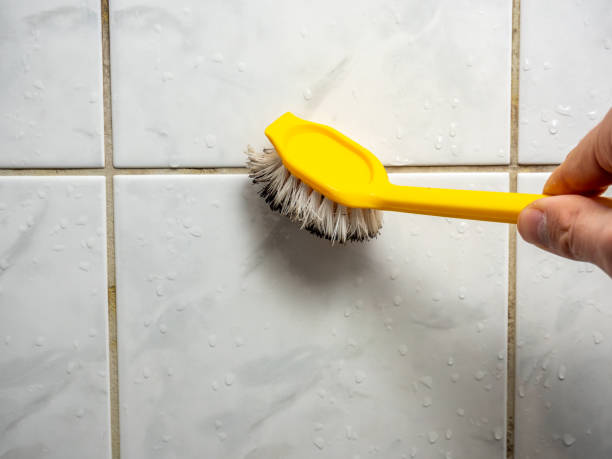 Best Certified Mold Removal  in Grove City, PA