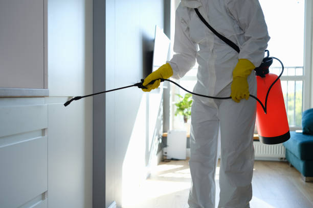 Best Toxic Mold Removal  in Grove City, PA