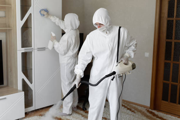Best Attic Mold Removal  in Grove City, PA